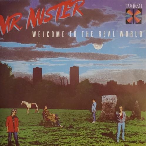 Mr. Mister